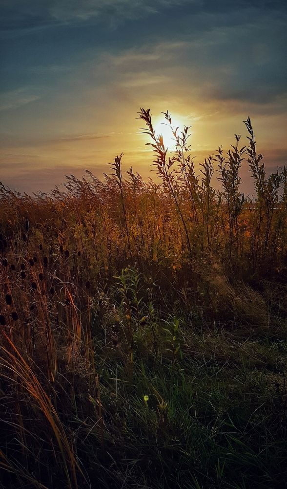 Фотография автора Наталья Соболь