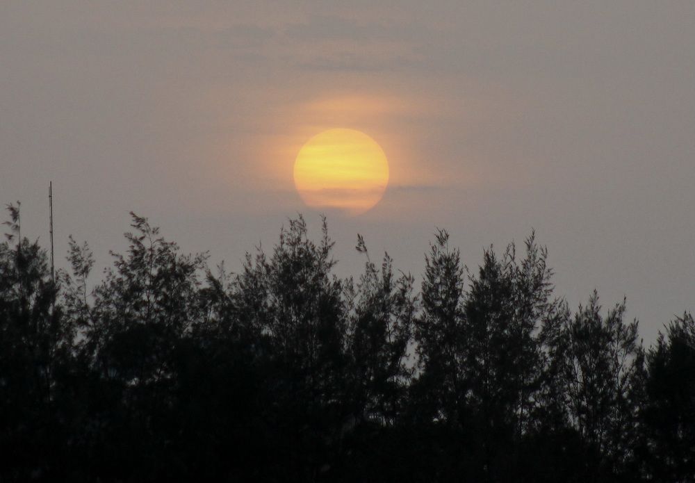 Photograph by Waleed Yousuf Alwahaibi