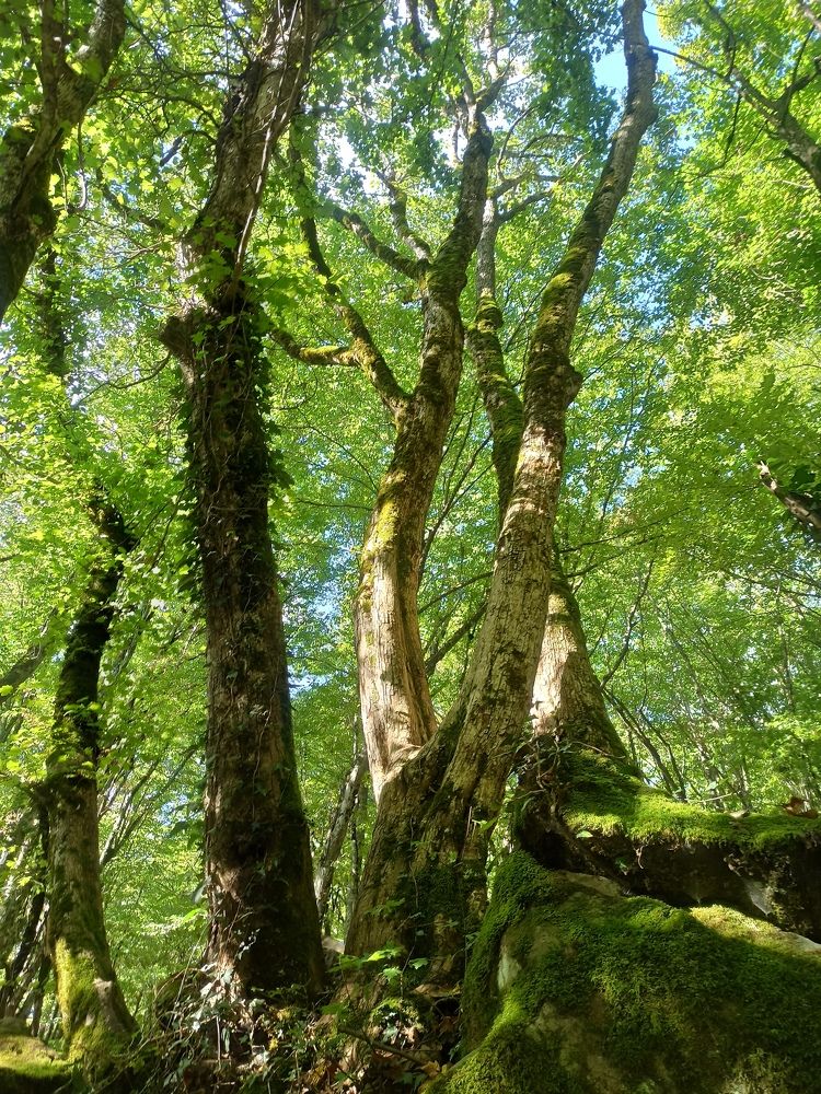 Photograph by Aleksey