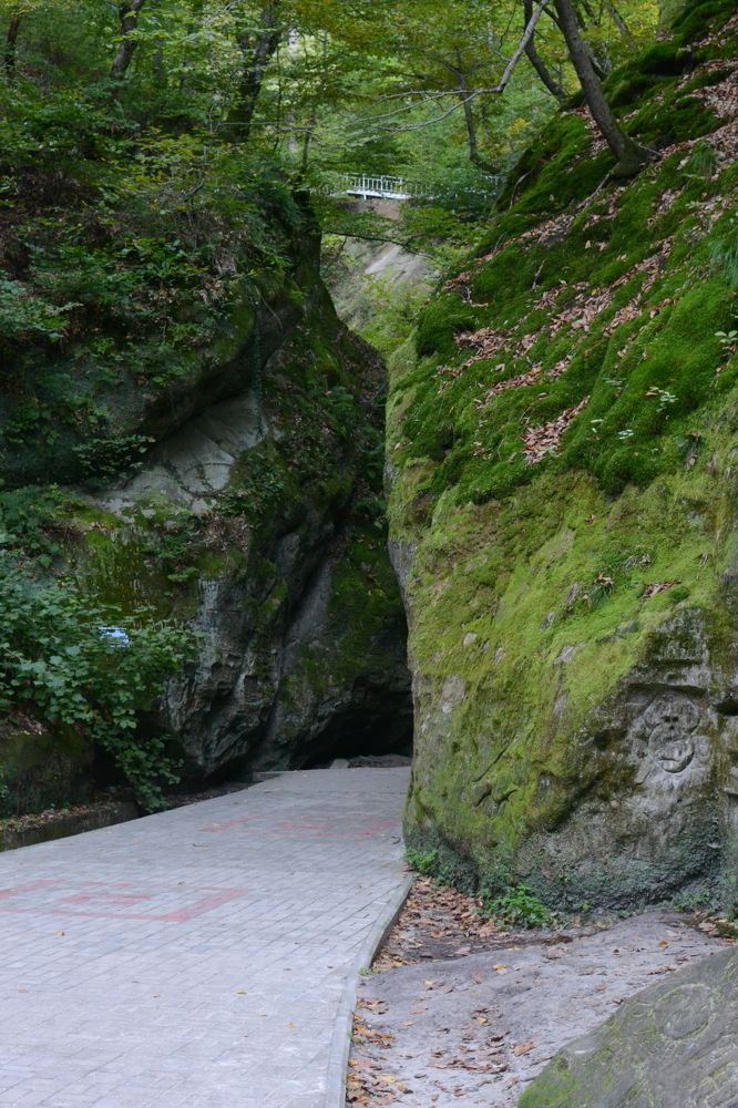 Photograph by Aleksey