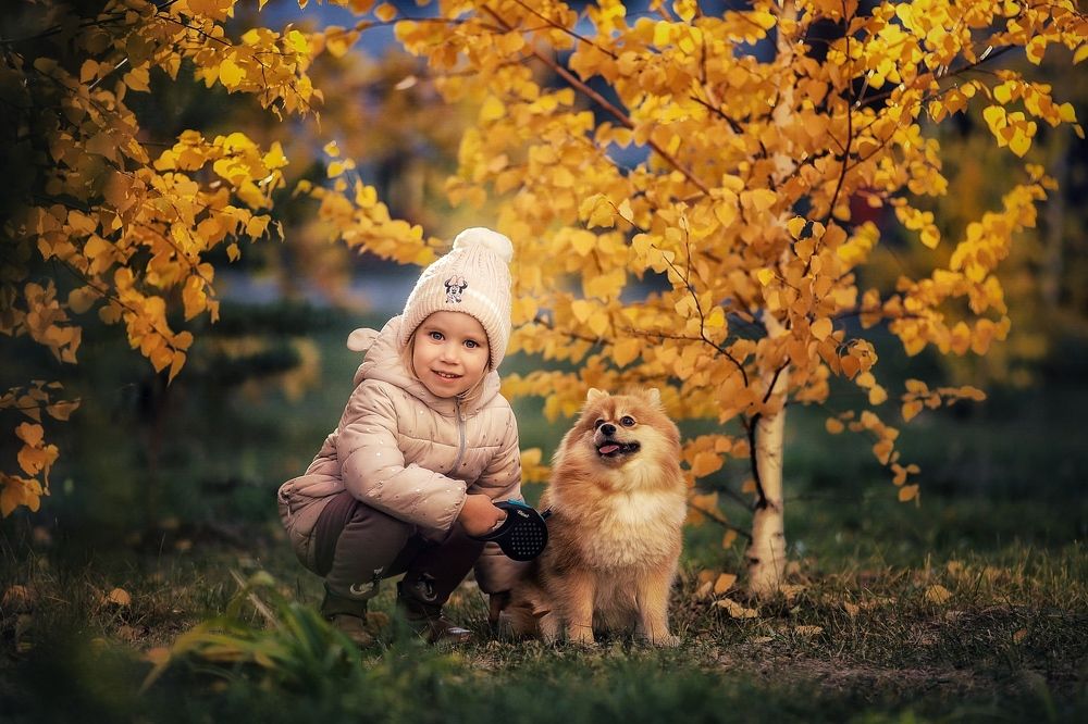 Photograph by Марина Шишкина