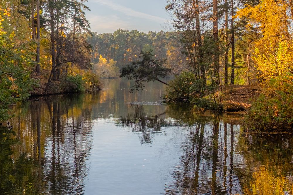 Photograph by Анатолий Асеев