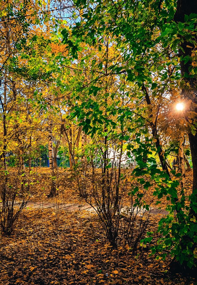 Фотография автора Всеволод Юрша