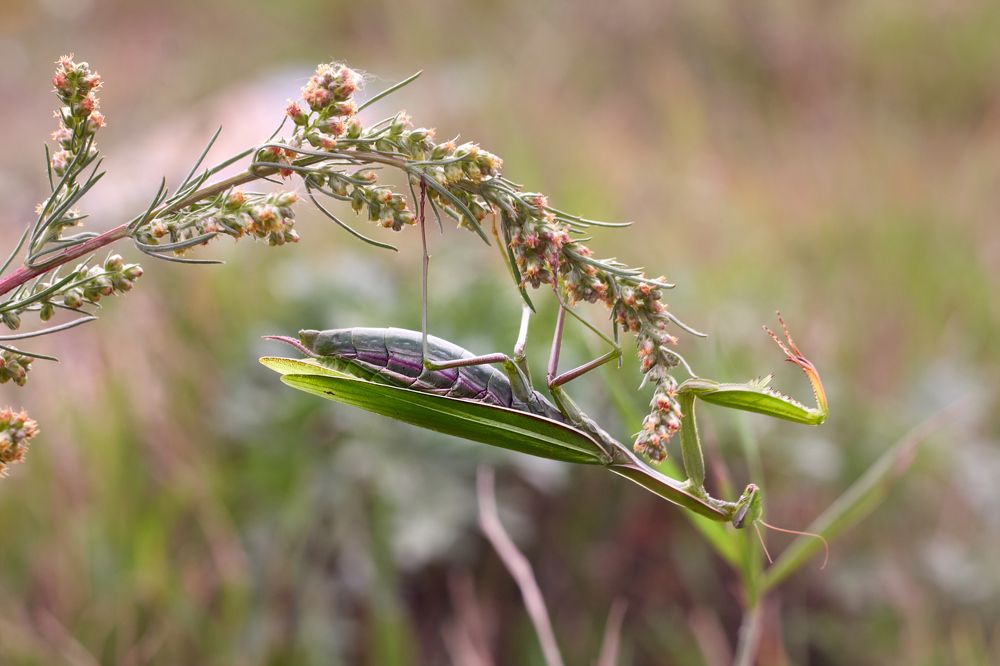 Photograph by Андрей Мольков