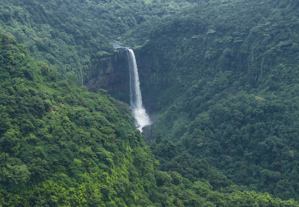 Photograph by Ranjith Kumar