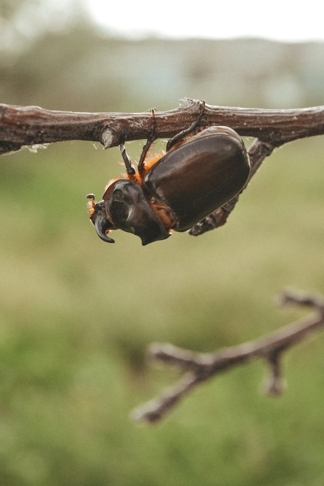 Photograph by Инна ПьянОва