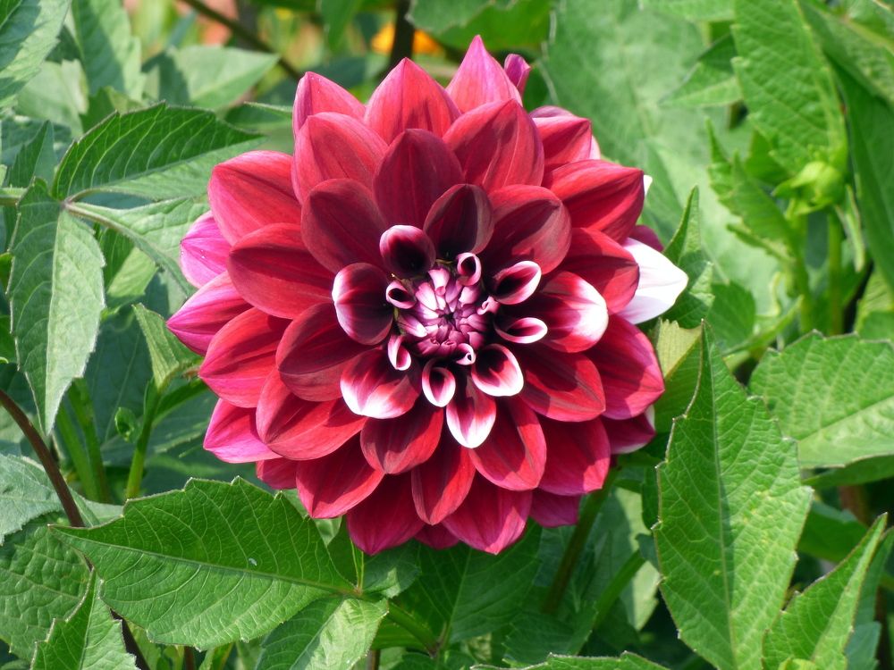 Photograph by Pjotr Alekseev