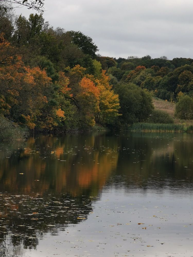 Photograph by Елена Миронова