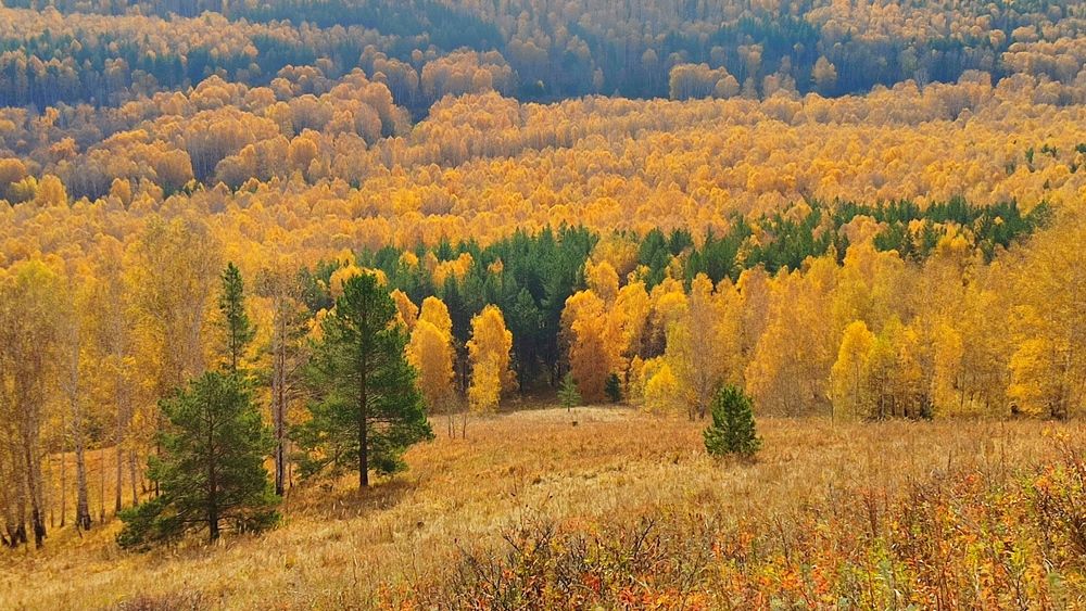 Photograph by Юлия Гинтер