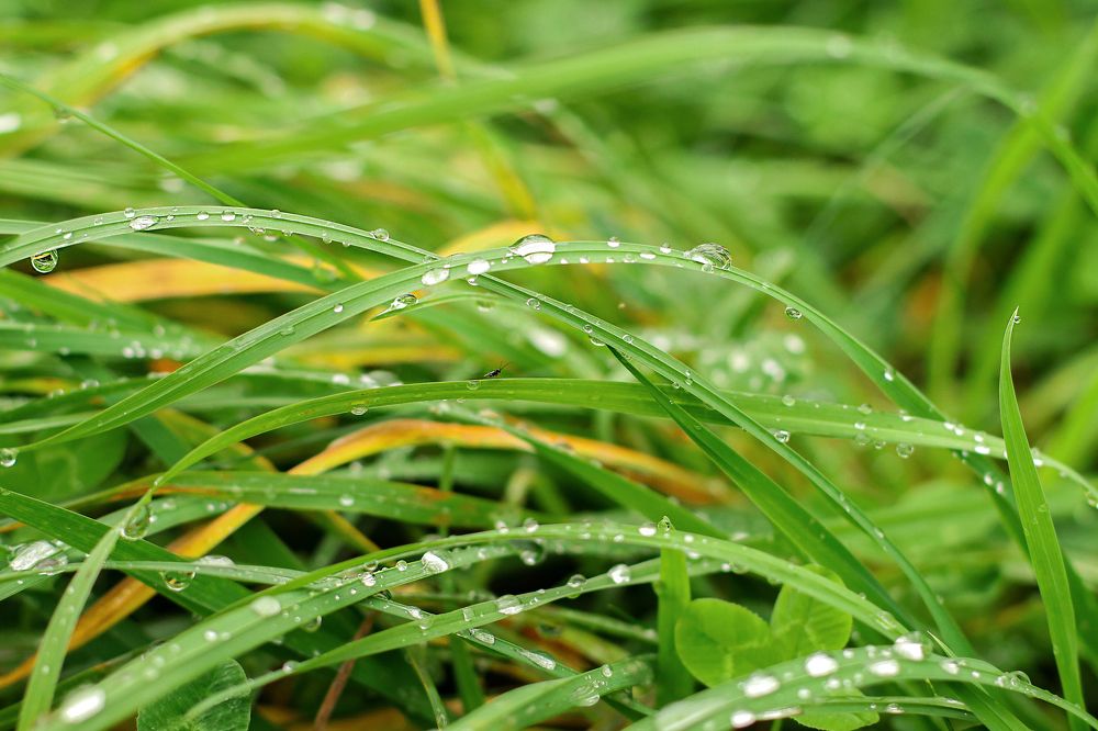 Photograph by Виктория Санкина