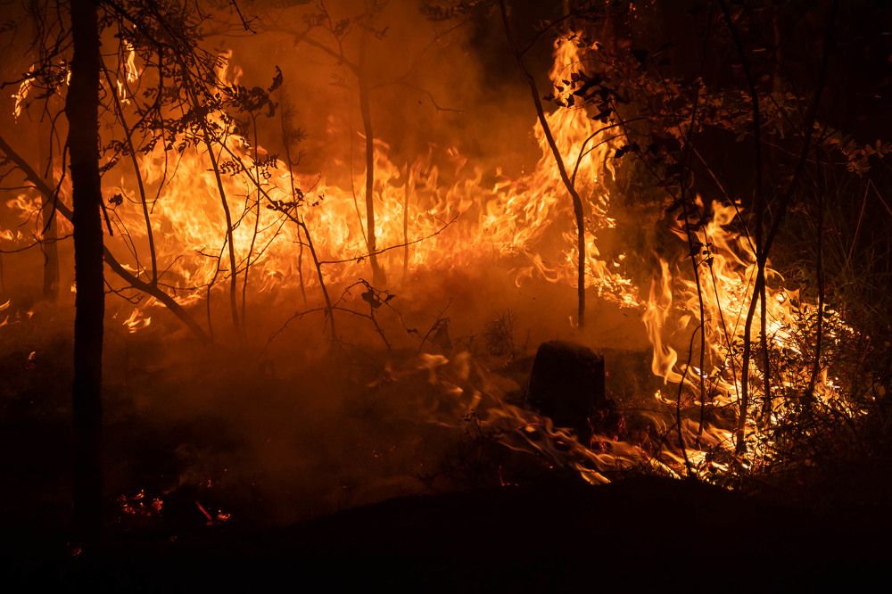 Photograph by Алексей Середенин