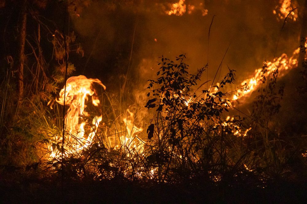 Photograph by Алексей Середенин