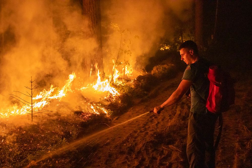 Photograph by Алексей Середенин