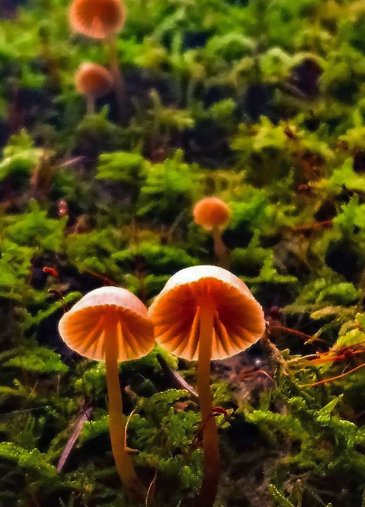 Фотография автора Юрий Цыркунов