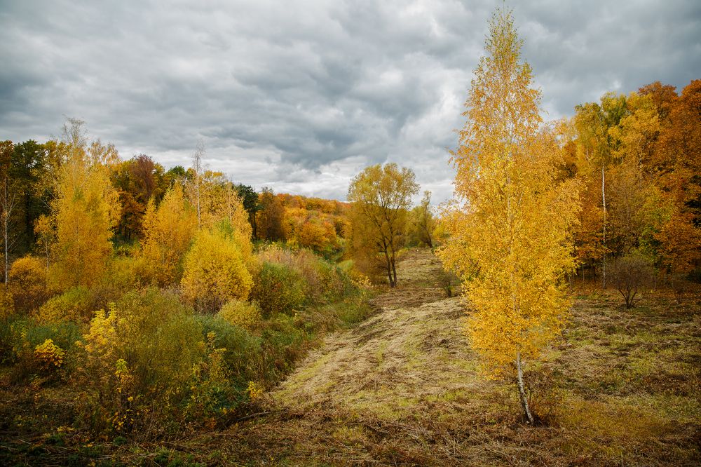 Photograph by Ксения Краснова