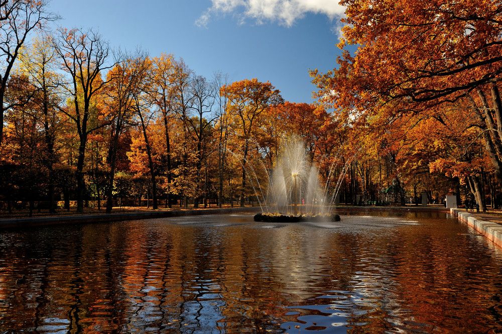 В осеннем парке...