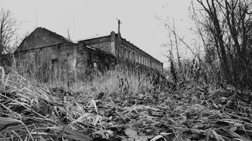 Photograph by Илья Ровинский