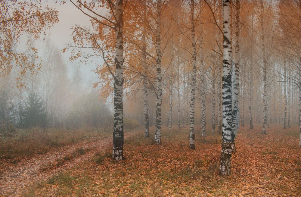 Photograph by Дарья