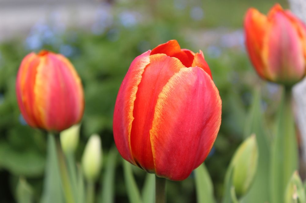 Photograph by Наталия