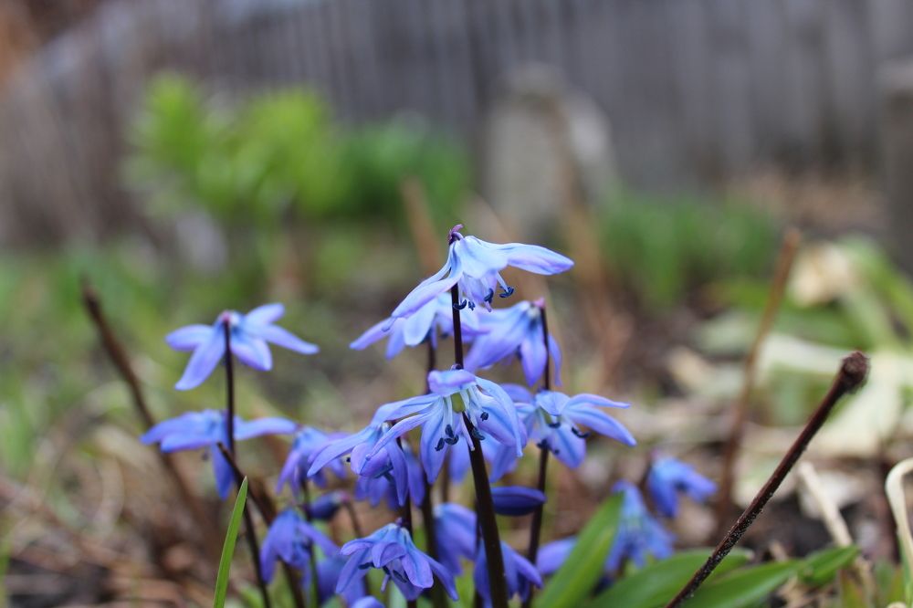 Photograph by Наталия