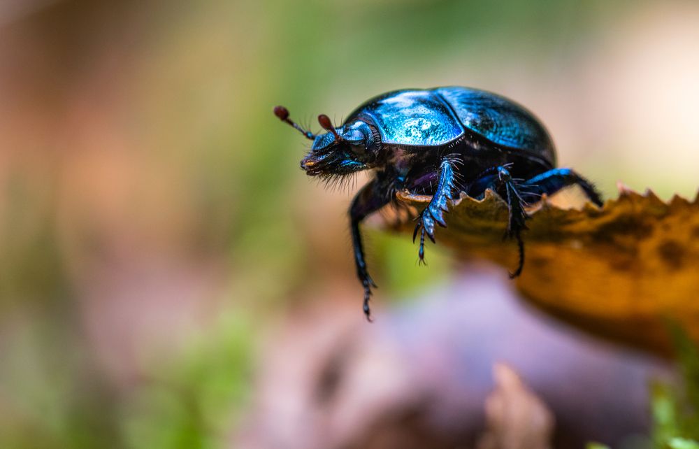 Photograph by Татьяна Бегун