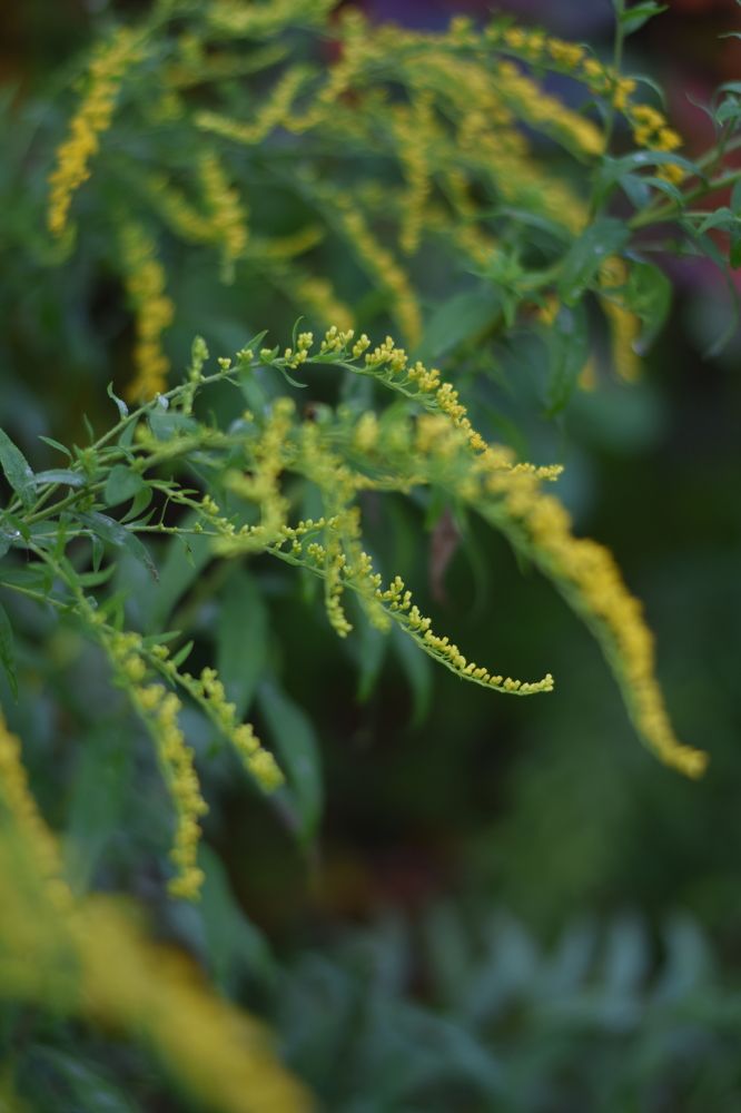 Photograph by Юля Шуравенкова