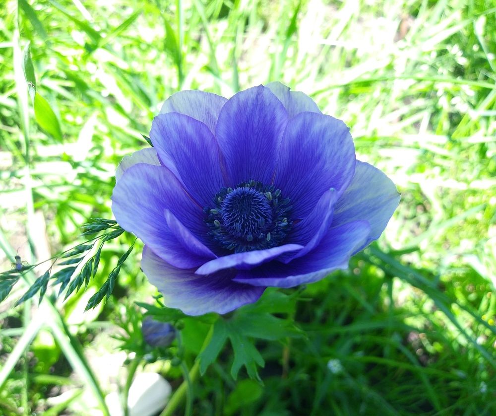 Photograph by Инна Голубева