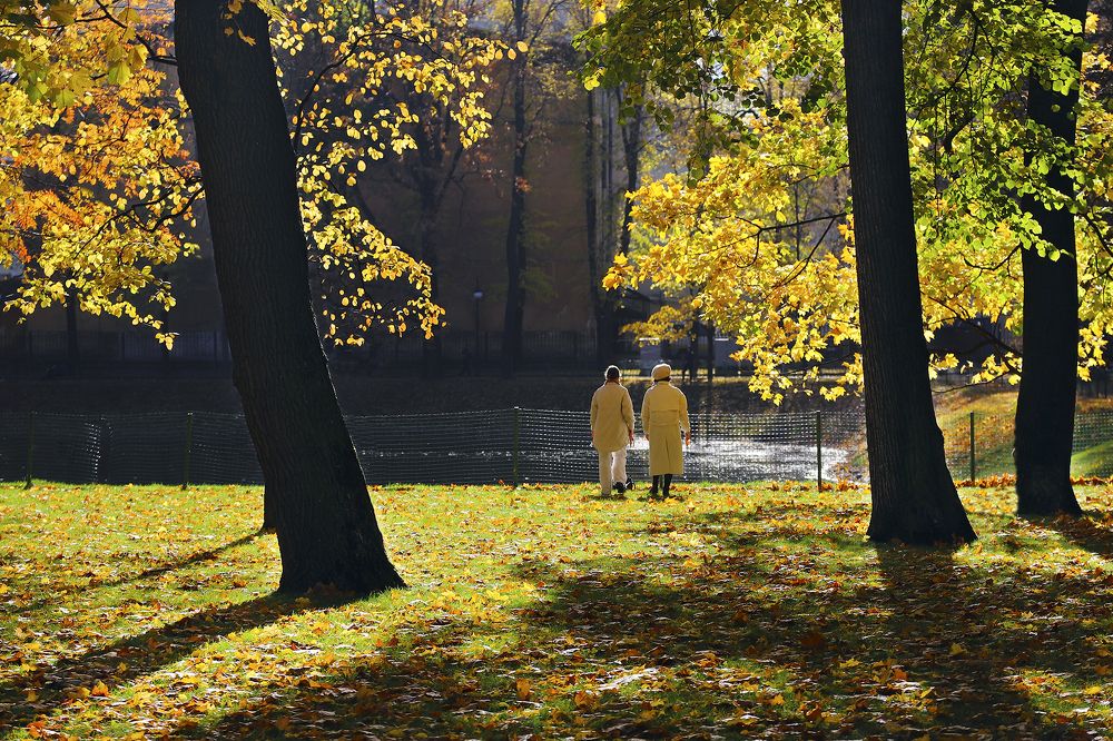 В гармонии с осенью