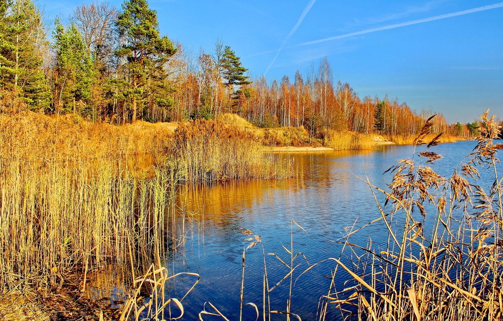 Photograph by Виталий Симоненков