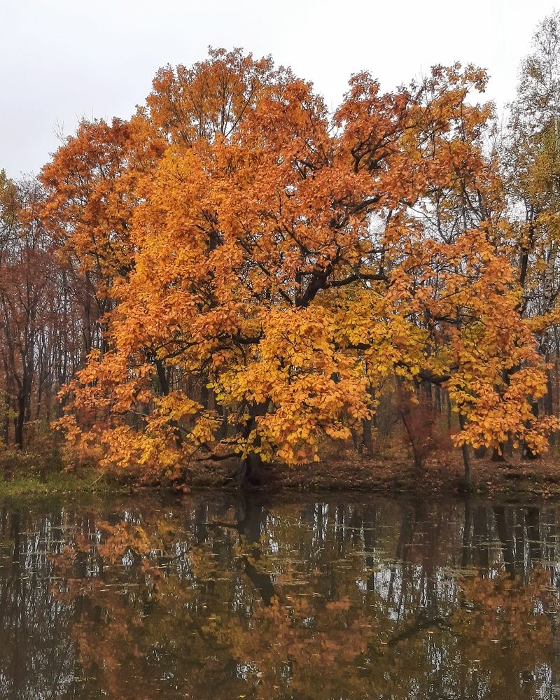 Photograph by Mobigraf