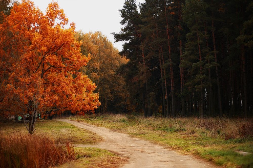 Photograph by Марина Шадрина