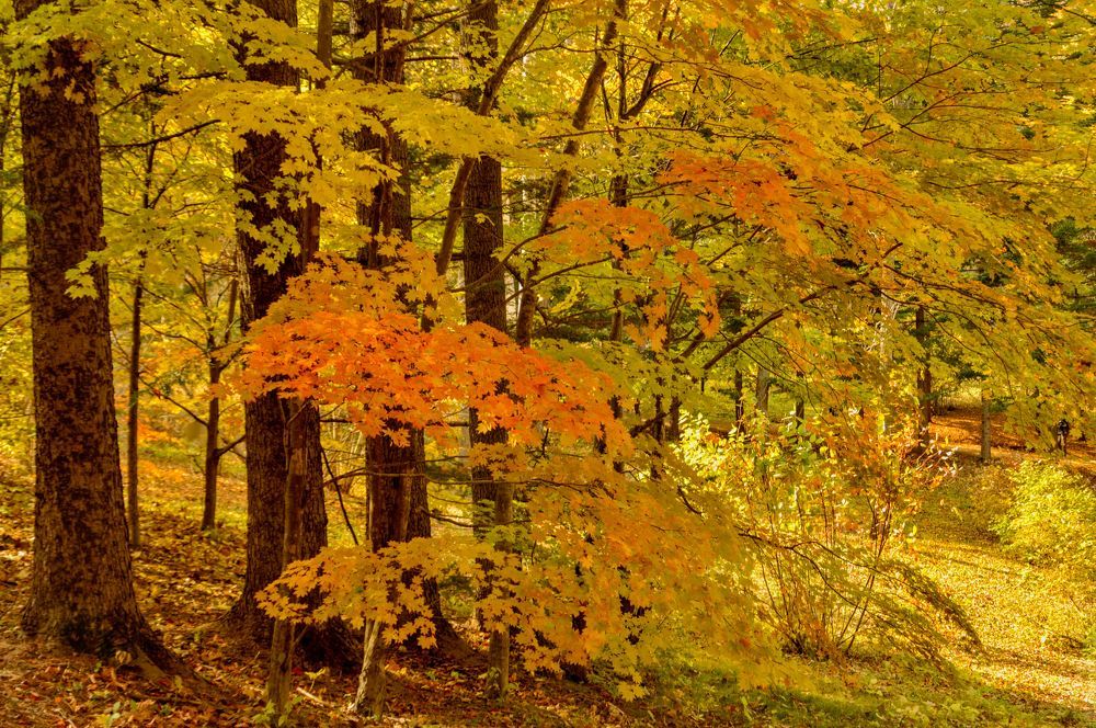 Photograph by Олег Волков