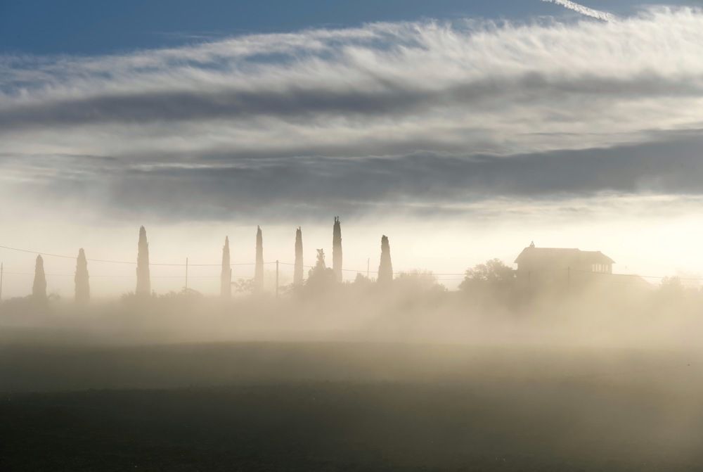 Photograph by Наталья Пирогова