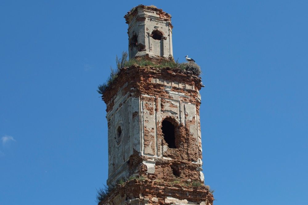 Гнездо аиста