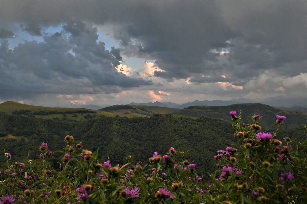 Фотография автора IRINA FILIPPOVA