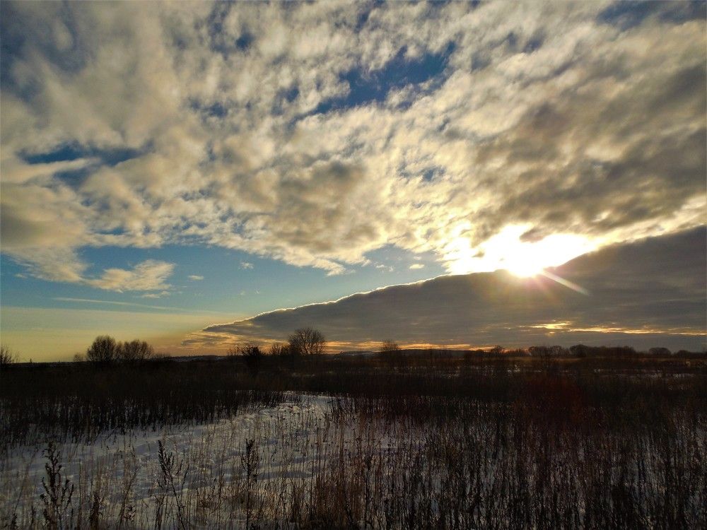 Фотография автора IRINA FILIPPOVA