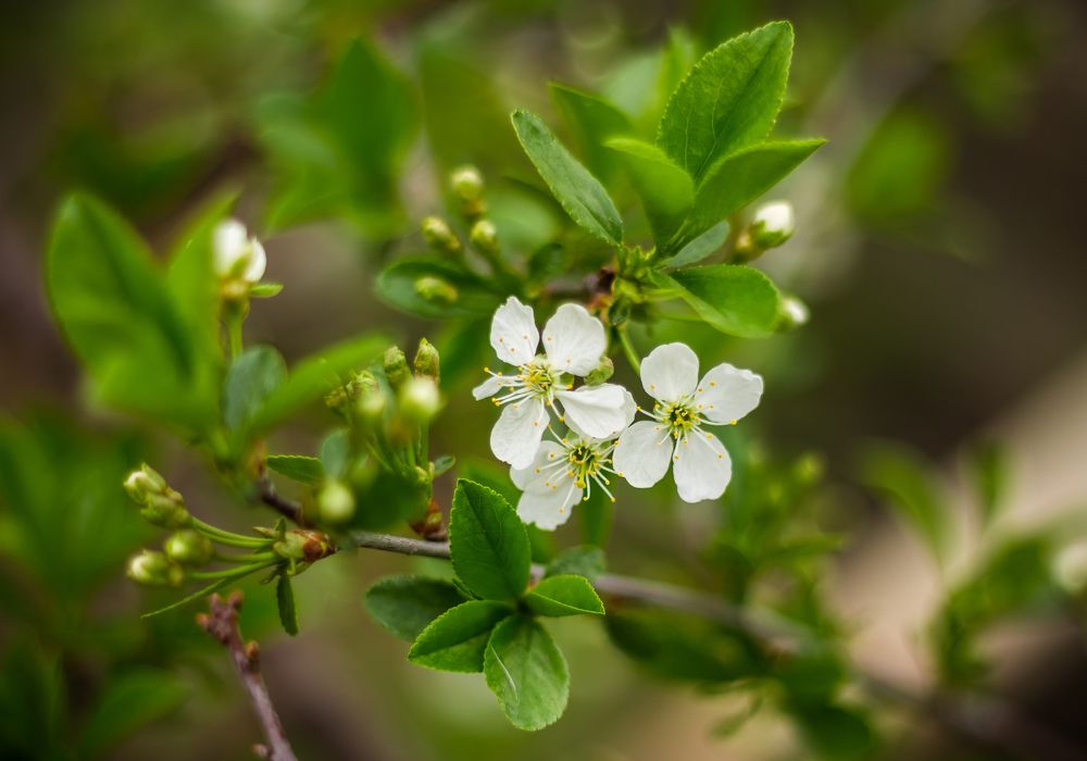 Photograph by Нефедова Ангелина