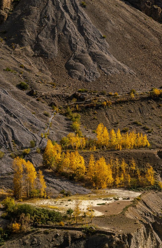 Autumn Colors at Spiti