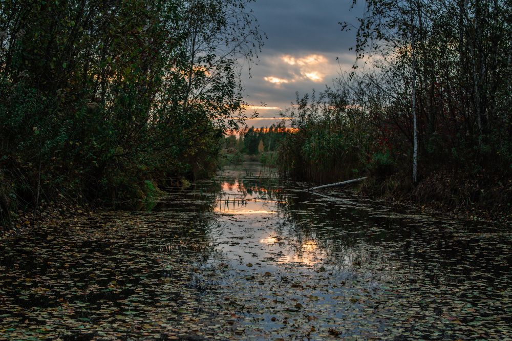 Фотография автора Tatiana Kots