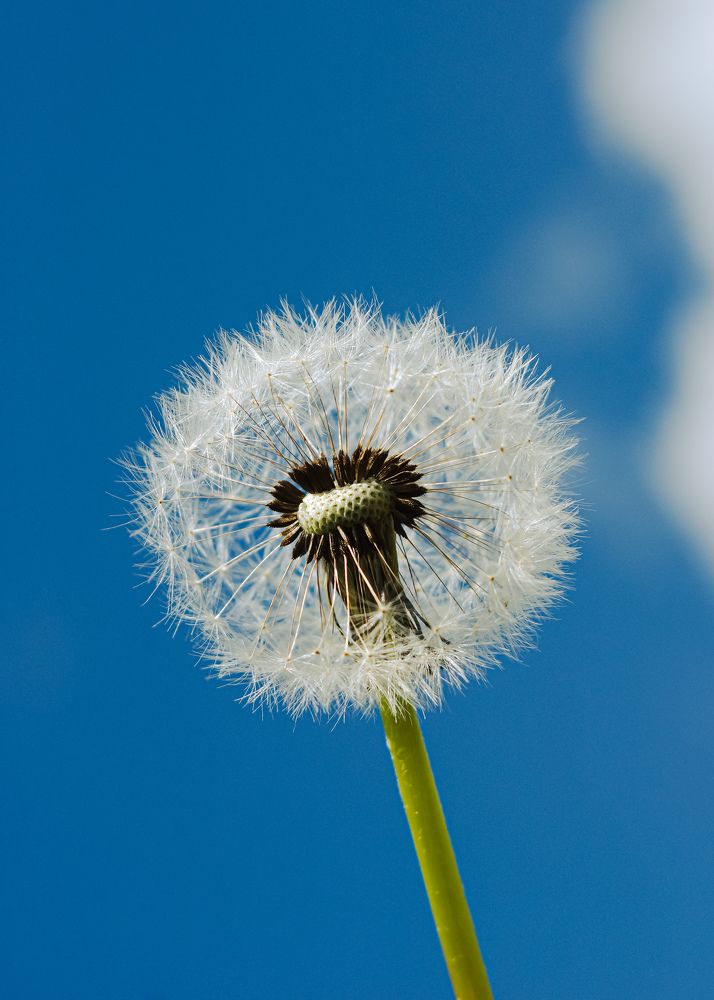 Photograph by Александр Казак