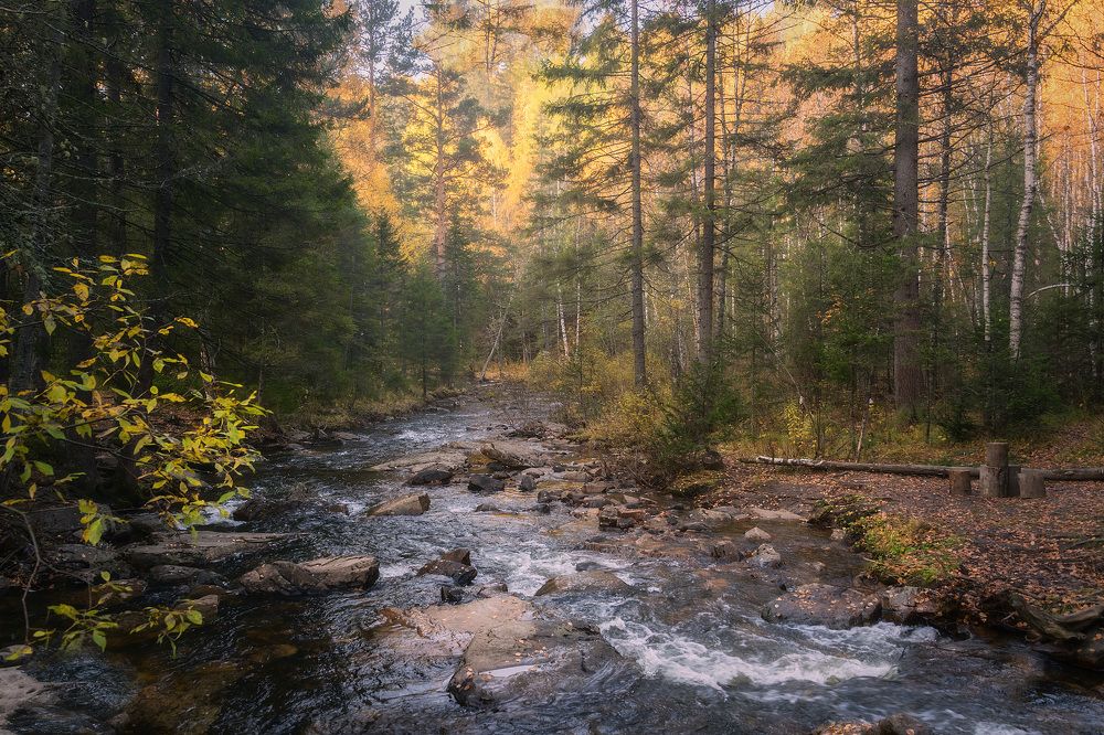 Осенняя палитра