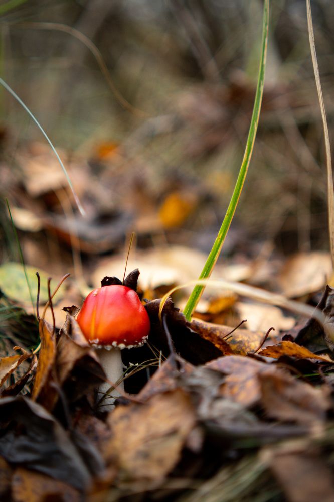 Фотография автора Tatiana Kots