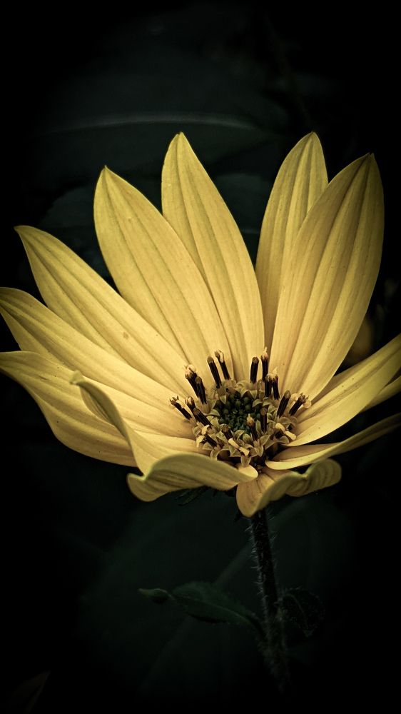 Photograph by Дарья Макаревич