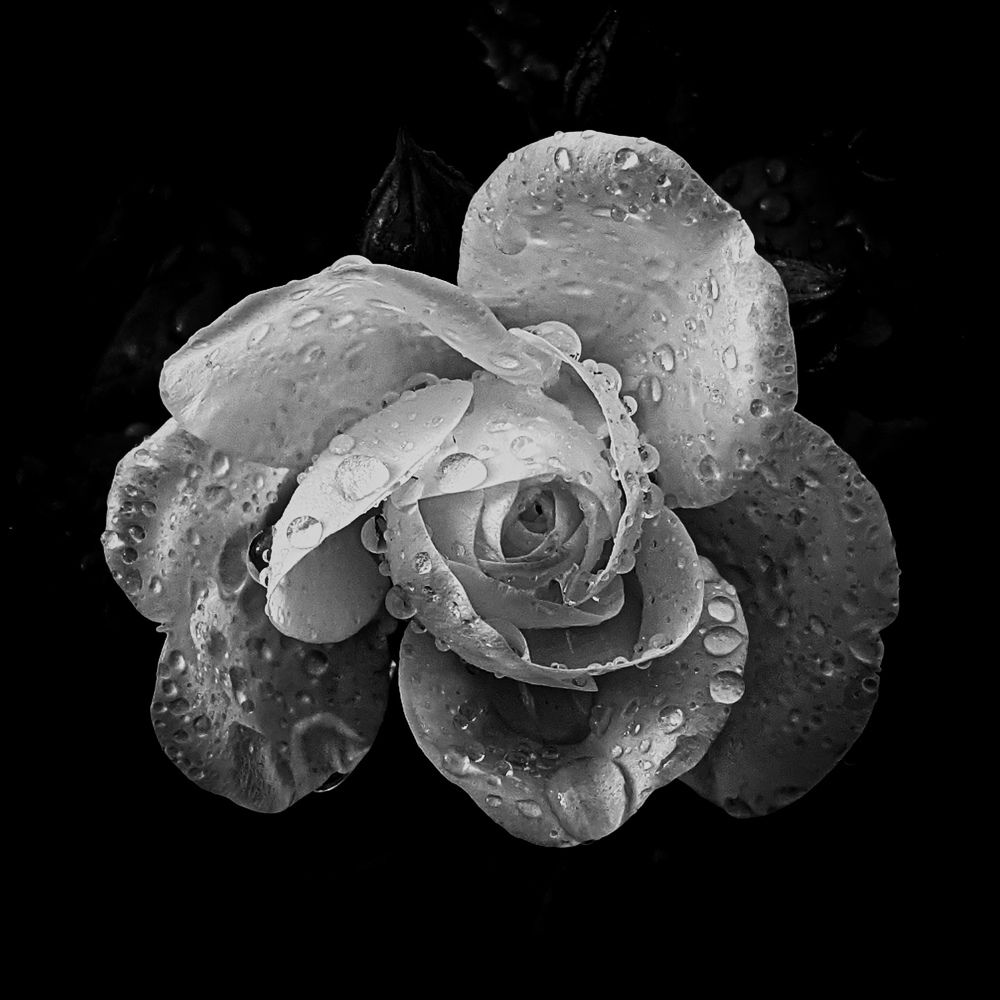 Photograph by Дарья Макаревич