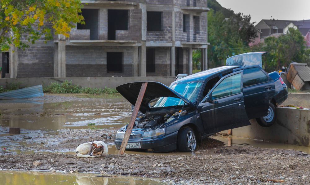 Photograph by Владимир Кривенко
