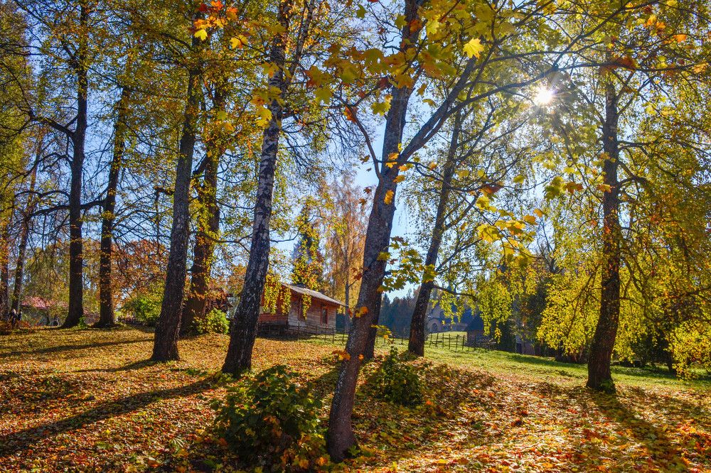 Photograph by Евгения Серебрякова