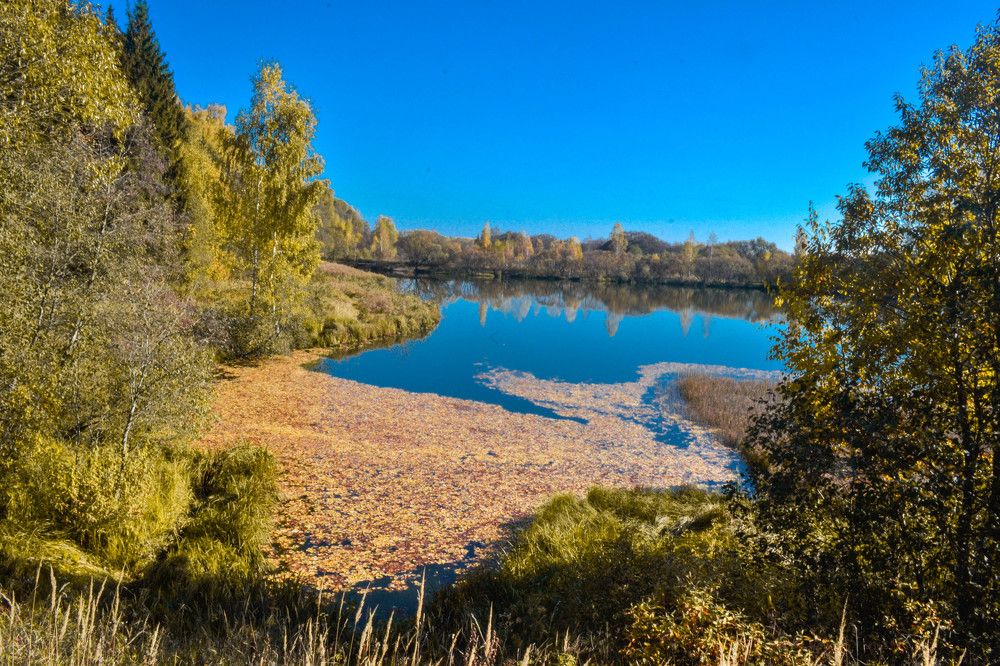 Photograph by Евгения Серебрякова