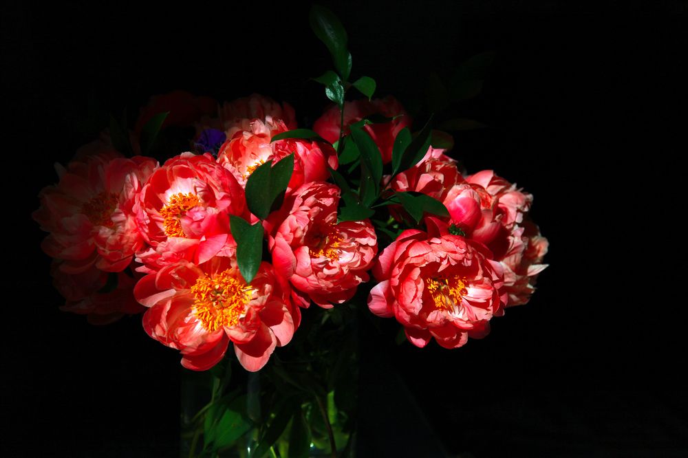 Photograph by Владимир Блехеров