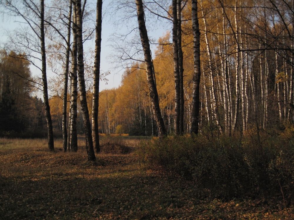 Photograph by Людмила М