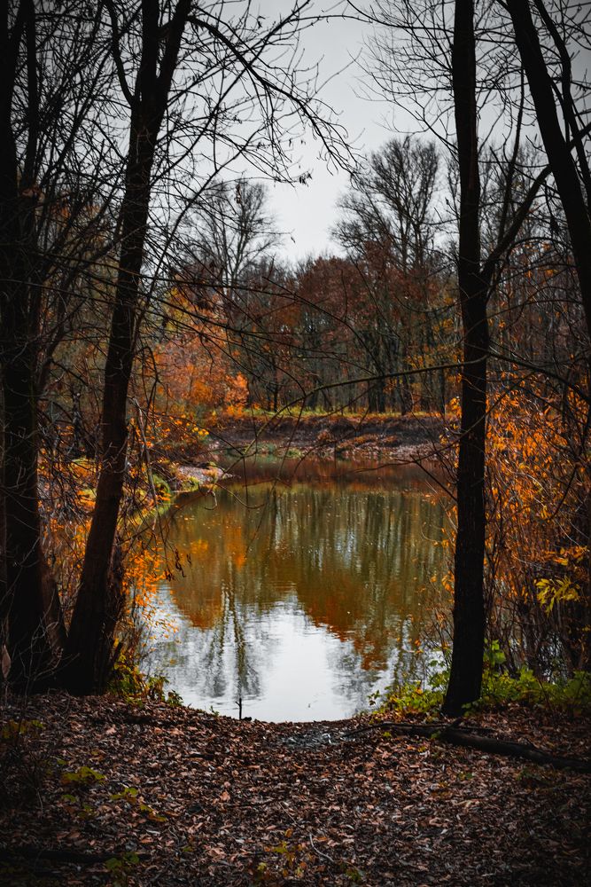 Фотография автора Григорьев Алексей